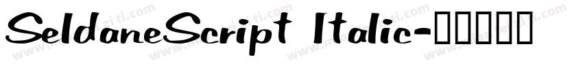 SeldaneScript Italic字体转换